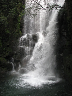 桑の木滝の写真